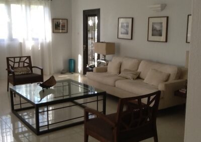 A bird inside a well-lit living room with minimalist decor and a white couch.